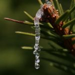 Десетдневно приключение в Нигерия – култура, природа и гостоприемство